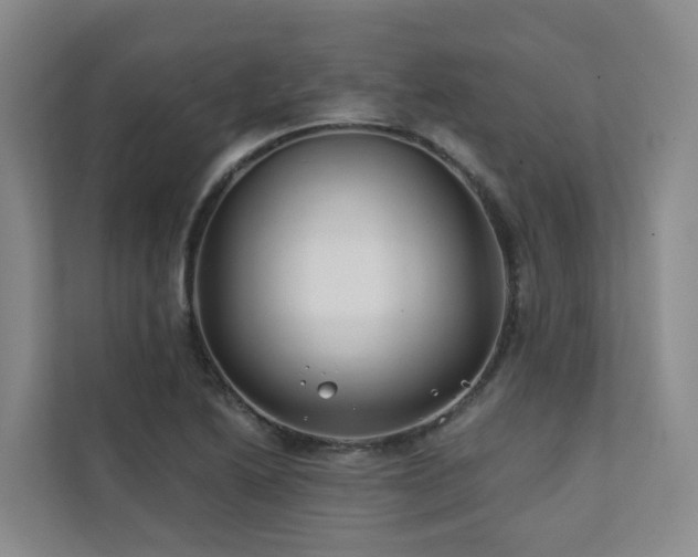 X0000111381222200907101119