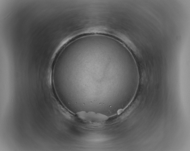 X0000111381224200907101119