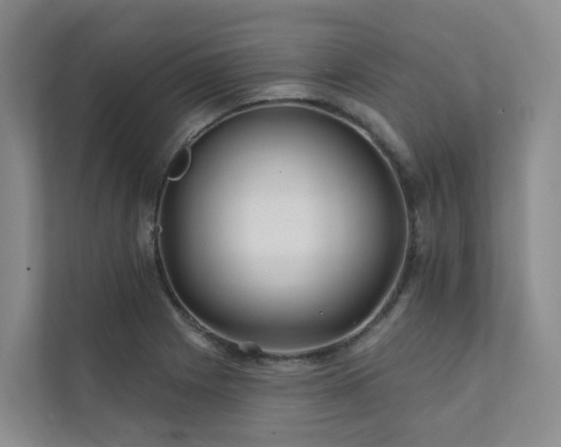 X0000111381225200907101119