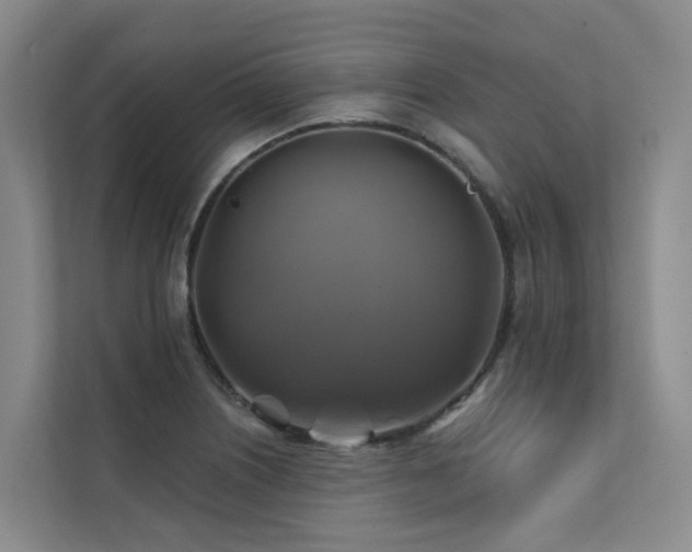 X0000111381226200907101119