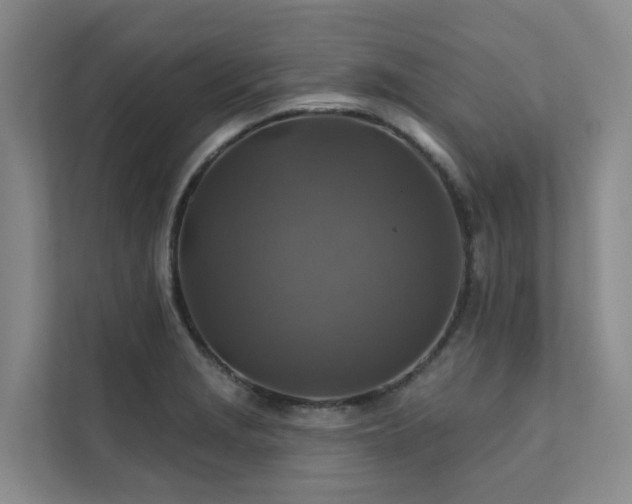 X0000111381229200907101119