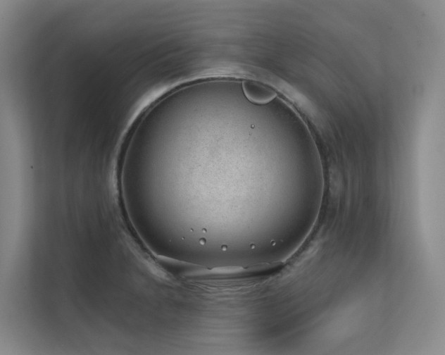 X0000111381230200907101119