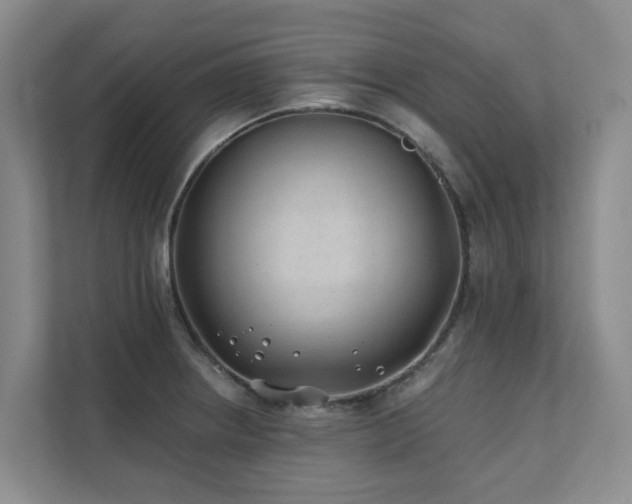 X0000111381234200907101119