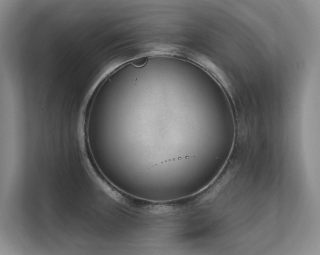 X0000111381235200907101119