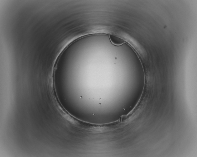 X0000111381236200907101119