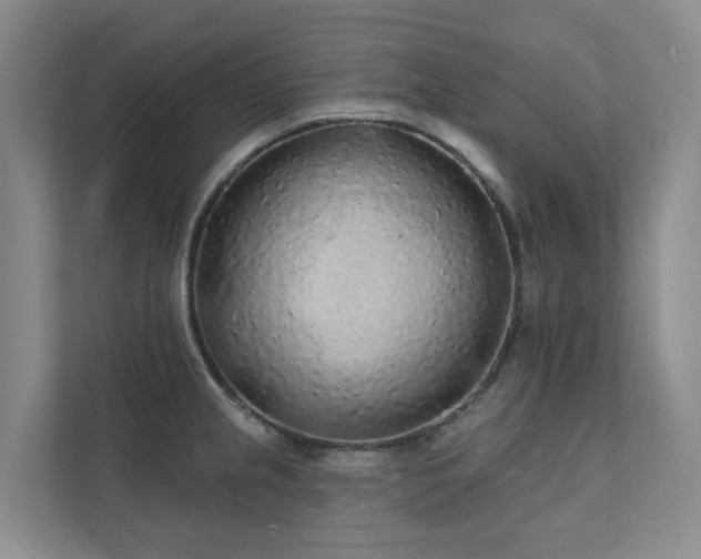 X0000111381237200907101119