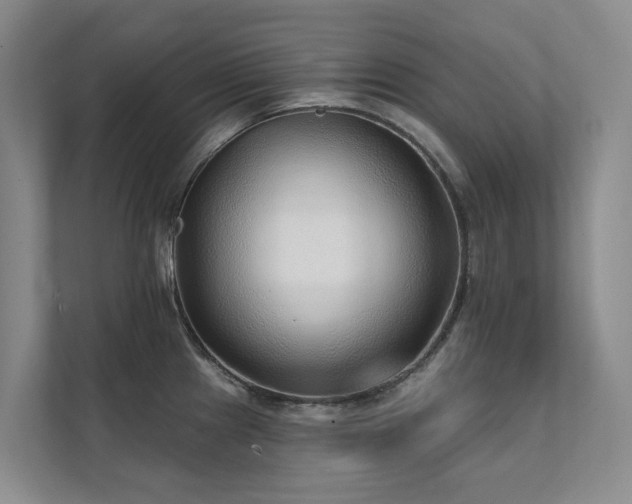 X0000111381241200907101120