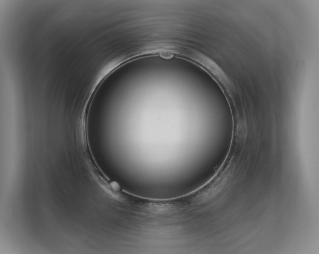 X0000111381242200907101120