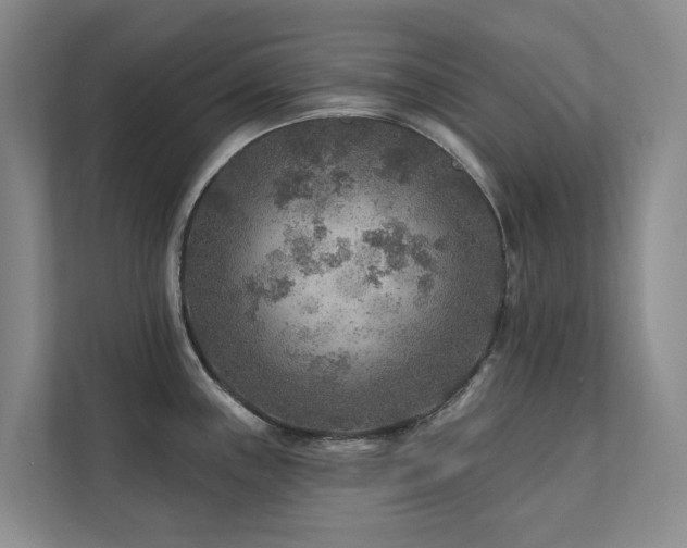 X0000111381243200907101120