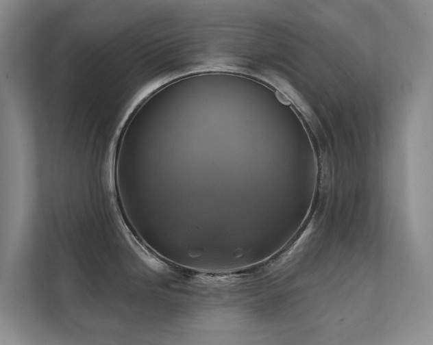 X0000111381246200907101120