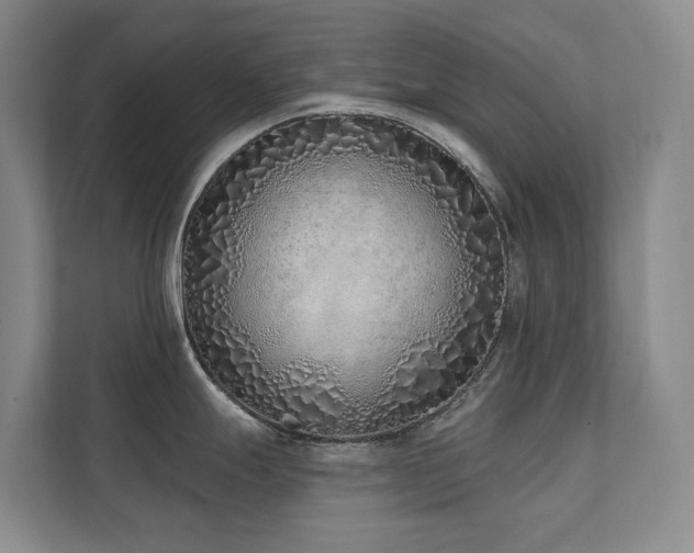X0000111381247200907101120