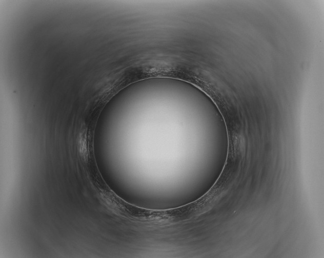 X0000111381250200907101119