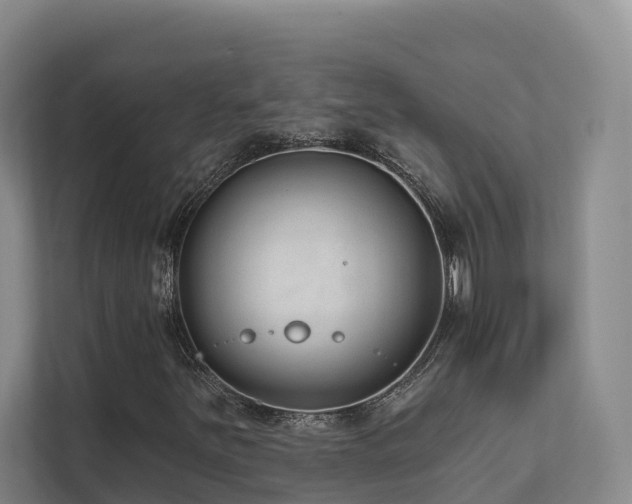X0000111381251200907101119
