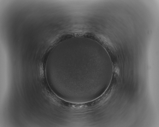 X0000111381252200907101119