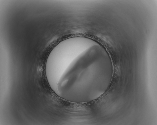 X0000111381254200907101119