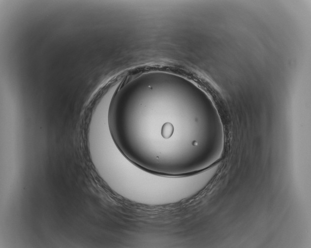 X0000111381256200907101119