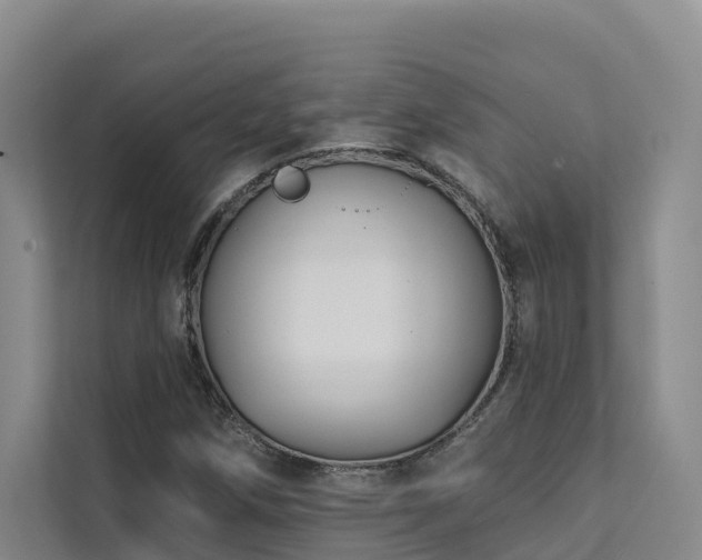 X0000111381258200907101119
