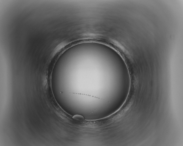 X0000111381259200907101119