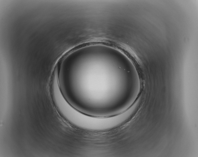 X0000111381260200907101119