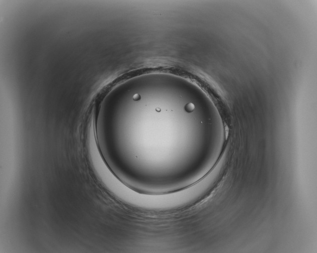 X0000111381261200907101119