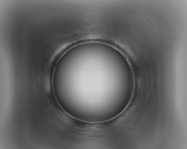 X0000111381262200907101119