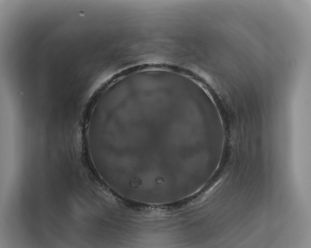 X0000111381263200907101119