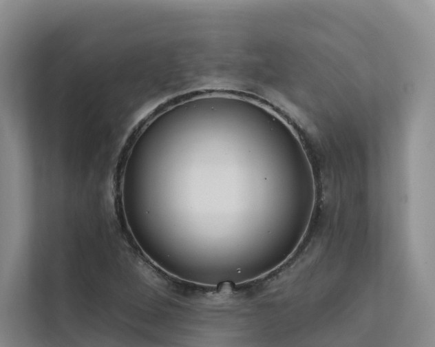 X0000111381264200907101119