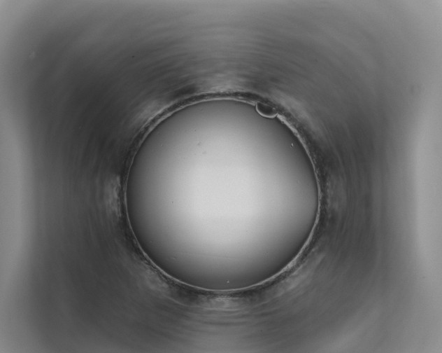 X0000111381265200907101119