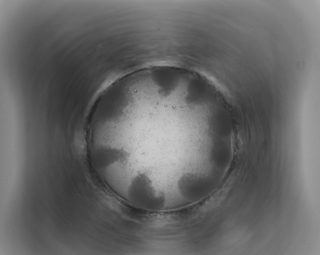 X0000111381266200907101119