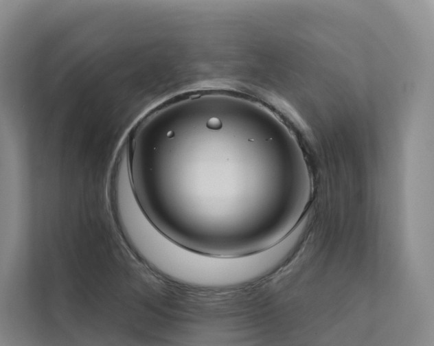 X0000111381268200907101119