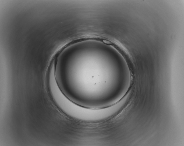 X0000111381269200907101119