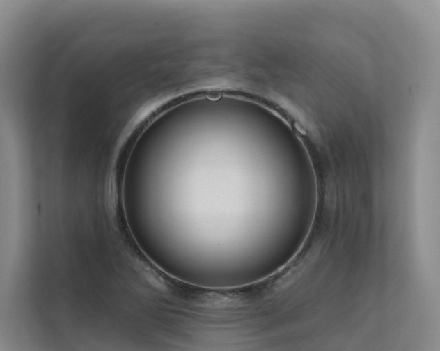 X0000111381270200907101119