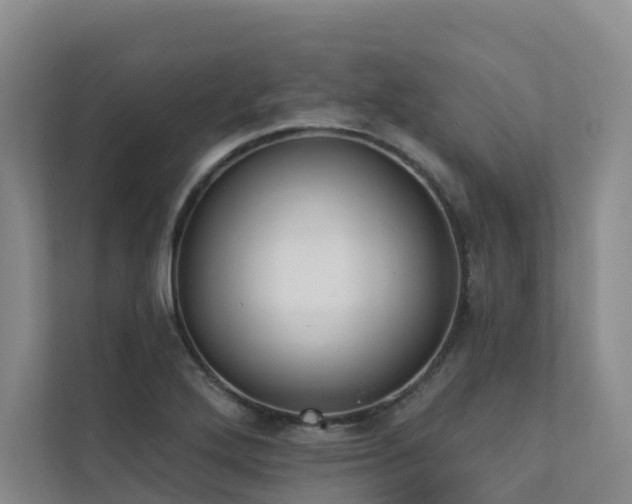X0000111381272200907101119