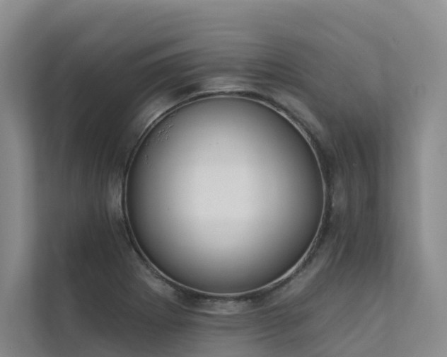 X0000111381273200907101119