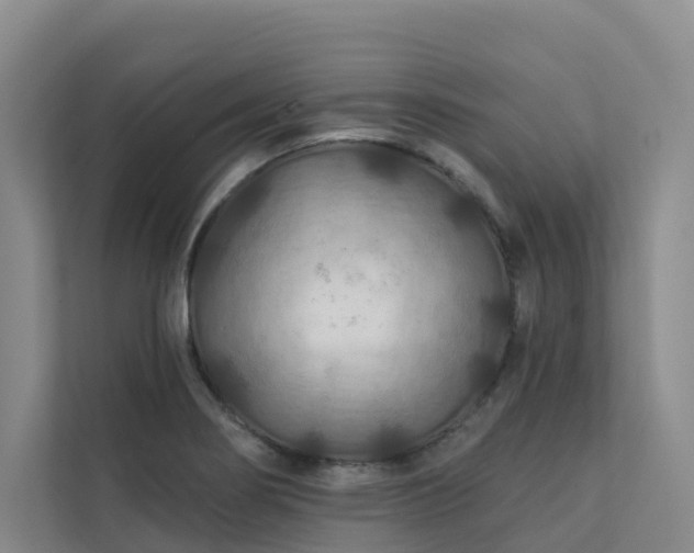 X0000111381274200907101119