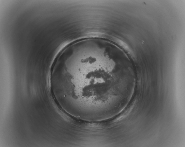 X0000111381275200907101118