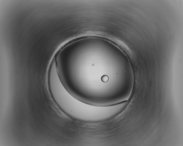 X0000111381280200907101118