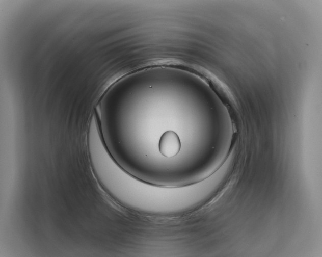 X0000111381281200907101118