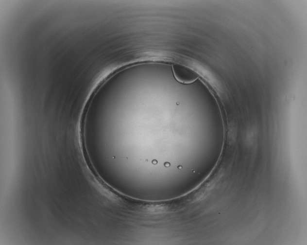 X0000111381283200907101118