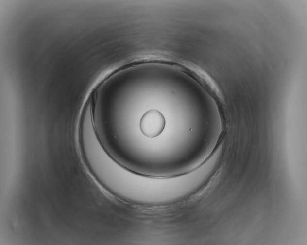 X0000111381285200907101118