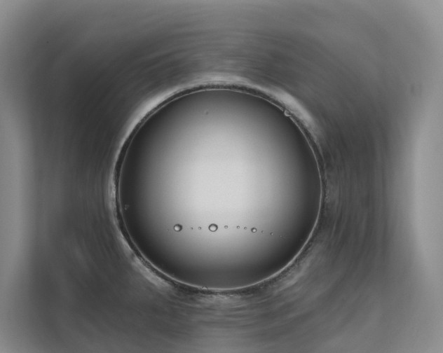 X0000111381287200907101118
