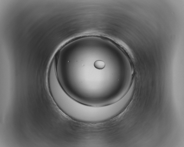 X0000111381288200907101118