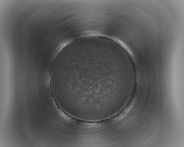 X0000111381289200907101118