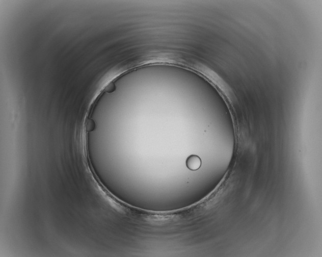 X0000111381290200907101118
