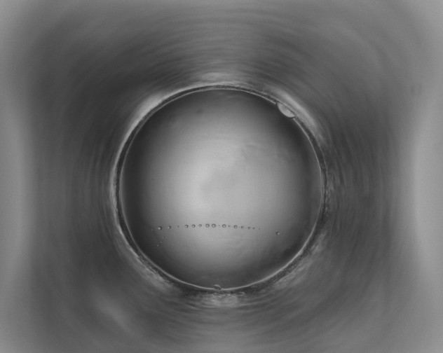 X0000111381291200907101118