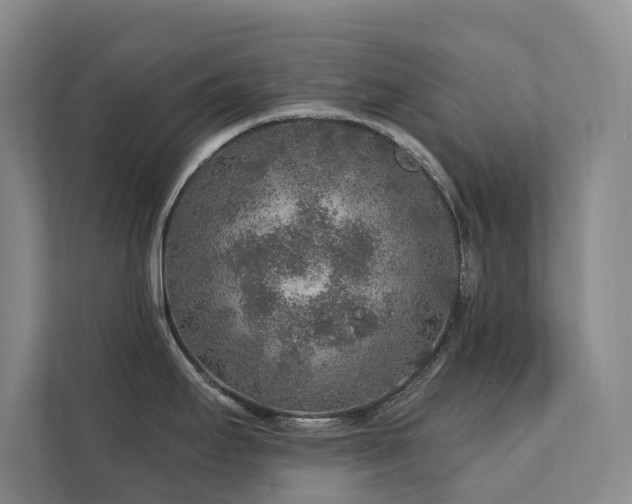 X0000111381295200907101118