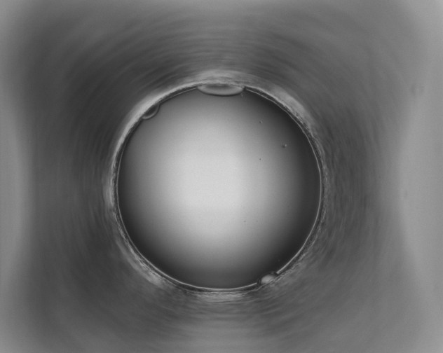 X0000111381296200907101118