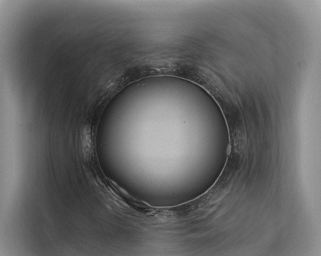 X0000111381298200907101118