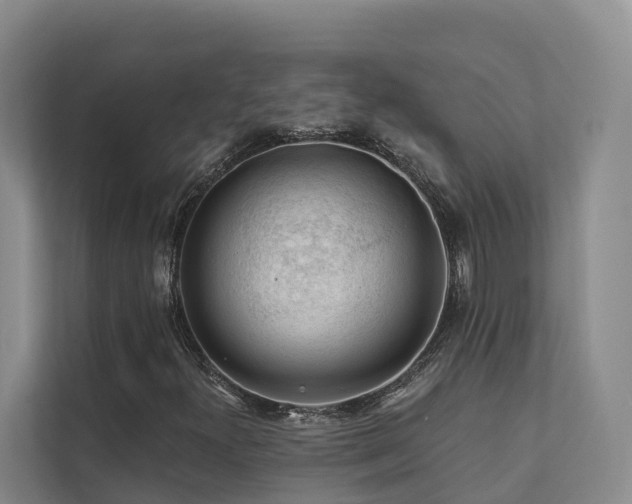 X0000111381300200907101118