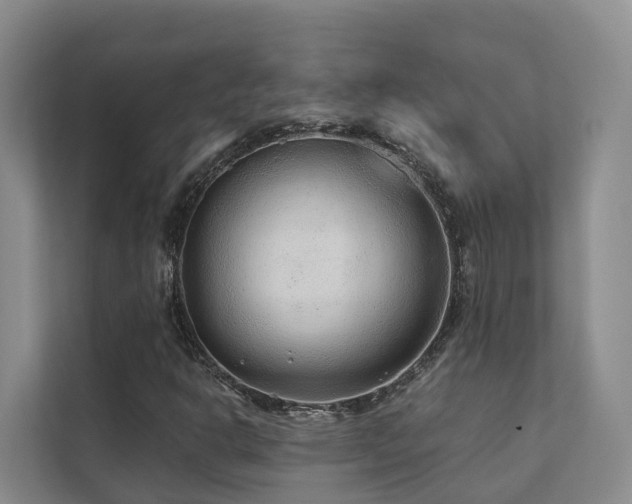 X0000111381302200907101118